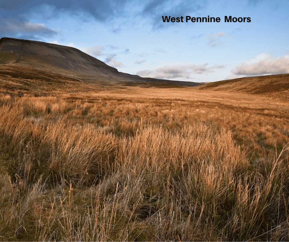 West Pennine Moors image