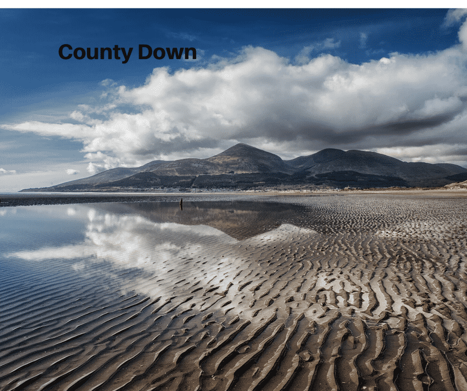 County Down image